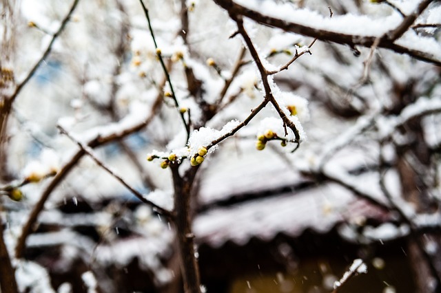 对于孙兴慜
